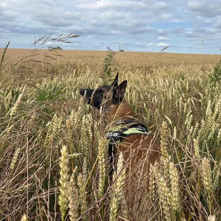 Agro Kaflarnia Wierzchowice
