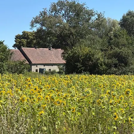 Dom wakacyjny Agro Kaflarnia