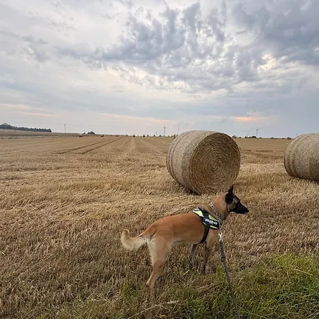 Agro Kaflarnia Dom wakacyjny